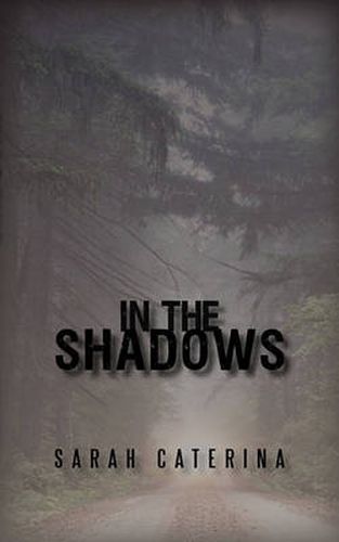 Cover image for In the Shadows