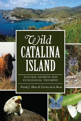 Cover image for Wild Catalina Island: Natural Secrets and Ecological Triumphs