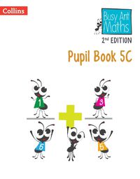 Cover image for Pupil Book 5C