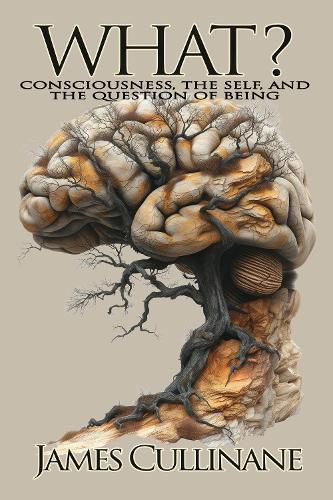 Cover image for What?