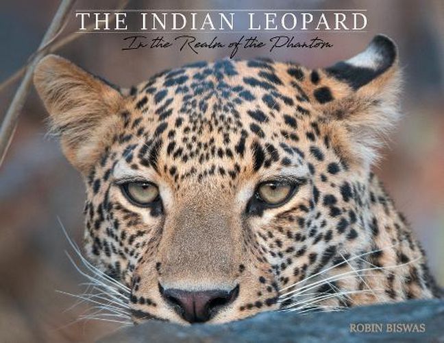 Cover image for The Indian Leopard: In the Realm of the Phantom