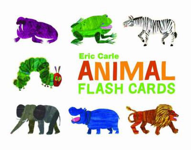 Animal Flash Cards