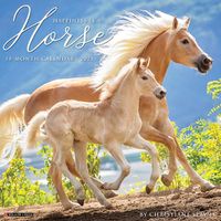 Cover image for Happiness Is a Horse 2025 12 X 12 Wall Calendar