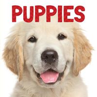 Cover image for Puppies