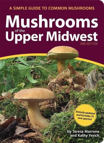 Cover image for Mushrooms of the Upper Midwest: A Simple Guide to Common Mushrooms