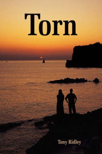 Cover image for Torn