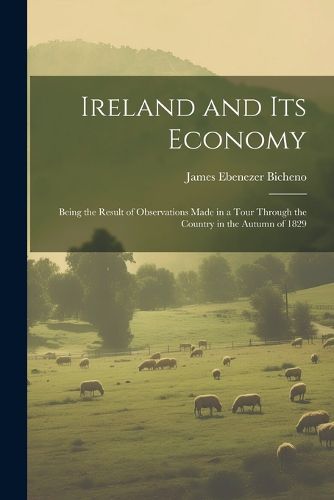 Cover image for Ireland and Its Economy