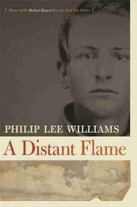 Cover image for A Distant Flame: A Novel