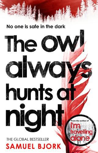 Cover image for The Owl Always Hunts at Night: (Munch and Kruger Book 2)