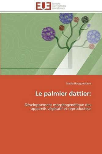 Le Palmier Dattier