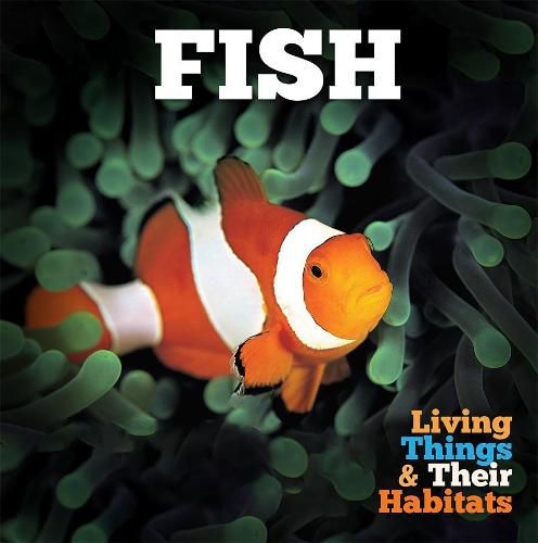 Cover image for Fish