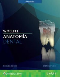 Cover image for Woelfel. Anatomia dental