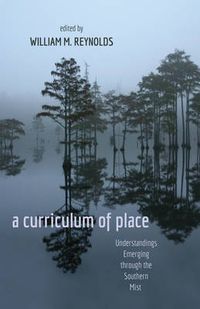 Cover image for a curriculum of place: Understandings Emerging through the Southern Mist