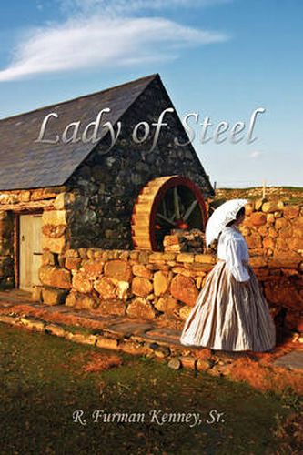 Cover image for Lady of Steel