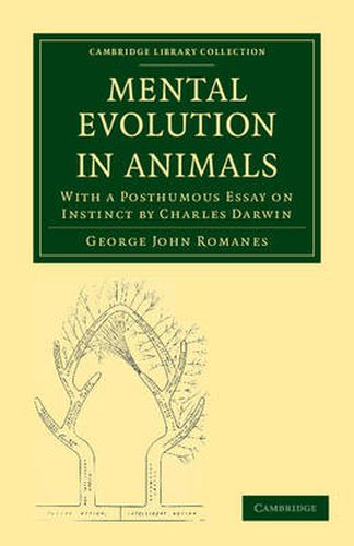 Cover image for Mental Evolution in Animals: With a Posthumous Essay on Instinct by Charles Darwin