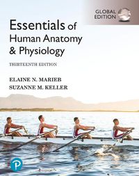 Cover image for Essentials of Human Anatomy & Physiology, Global Edition + Mastering A&P with Pearson eText