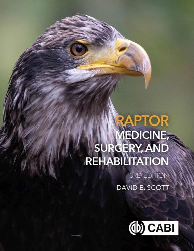 Cover image for Raptor Medicine, Surgery, and Rehabilitation