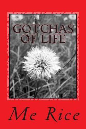Cover image for Gotchas of Life