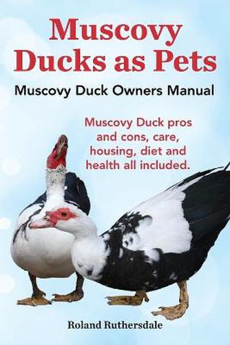 Cover image for Muscovy Ducks as Pets