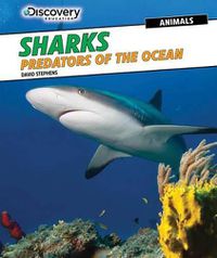Cover image for Sharks: Predators of the Ocean
