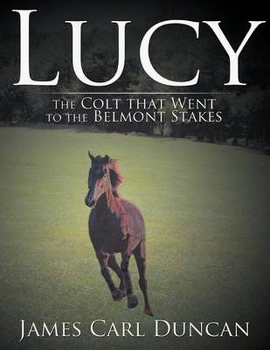 Cover image for Lucy -- The Colt That Went to the Belmont Stakes