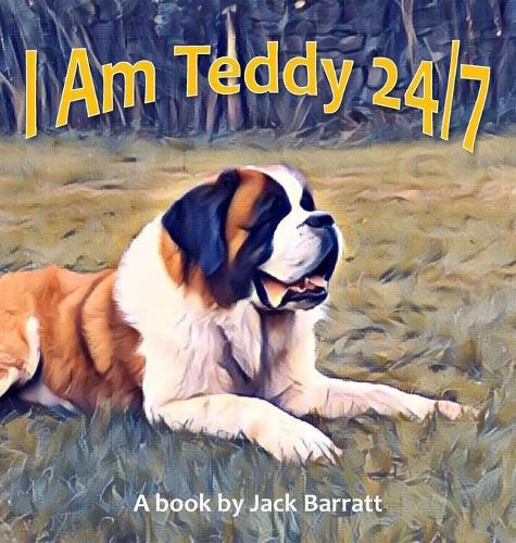 Cover image for I Am Teddy 24/7