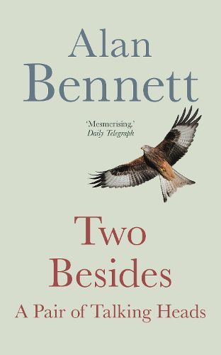 Cover image for Two Besides: A Pair of Talking Heads