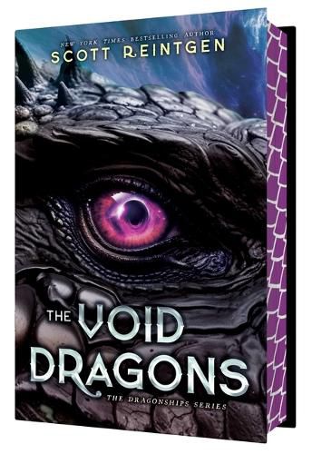 Cover image for The Void Dragons