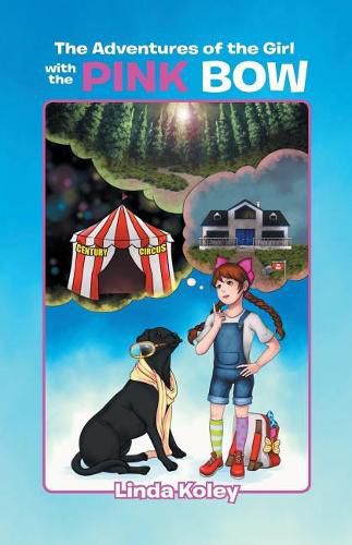 Cover image for The Adventures of the Girl with the Pink Bow