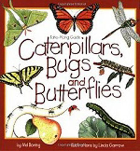 Cover image for Caterpillars, Bugs and Butterflies: Take-Along Guide