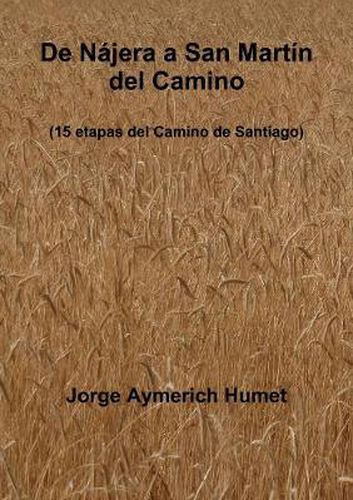 Cover image for De Najera a San Martin Del Camino