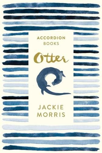 Cover image for Otter: Accordion Book No 2