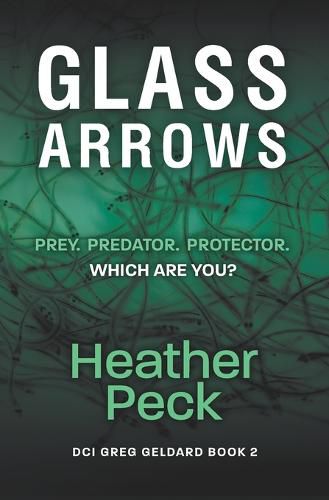 Cover image for Glass Arrows