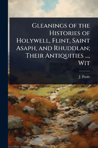 Cover image for Gleanings of the Histories of Holywell, Flint, Saint Asaph, and Rhuddlan; Their Antiquities ..., Wit