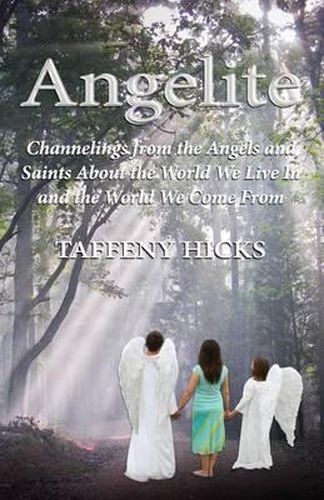 Cover image for Angelite: Channelings from the Angels and Saints About the World We Live In and the World We Come From
