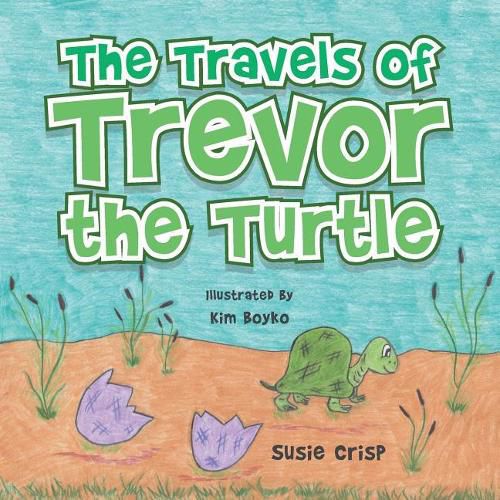 Cover image for The Travels of Trevor the Turtle