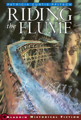 Cover image for Riding the Flume