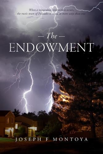 Cover image for The Endowment