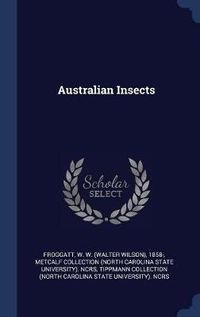 Cover image for Australian Insects