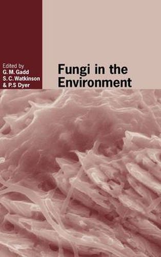 Cover image for Fungi in the Environment