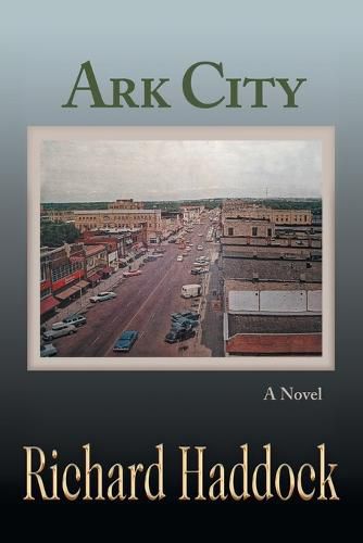 Cover image for Ark City