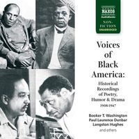 Cover image for Voices of Black America