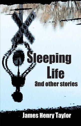 Cover image for Sleeping Life and Other Stories