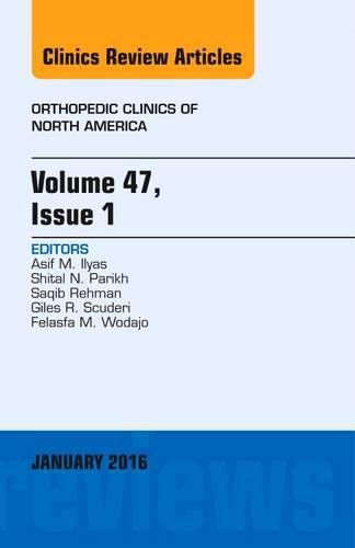 Cover image for Volume 47, Issue 1, An Issue of Orthopedic Clinics