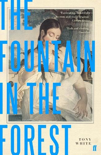 Cover image for The Fountain in the Forest