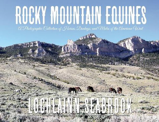 Rocky Mountain Equines