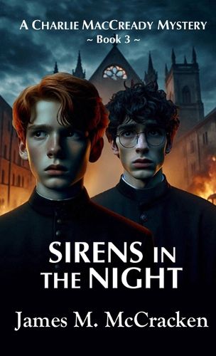 Cover image for Sirens in the Night