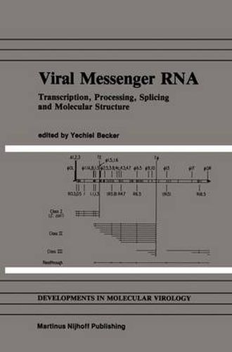 Cover image for Viral Messenger RNA: Transcription, Processing, Splicing and Molecular Structure