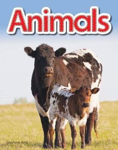 Cover image for Animals Lap Book