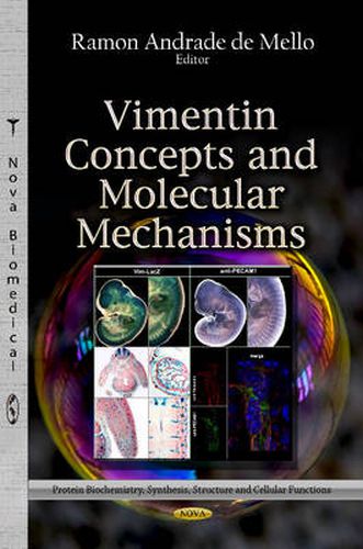 Cover image for Vimentin Concepts & Molecular Mechanisms